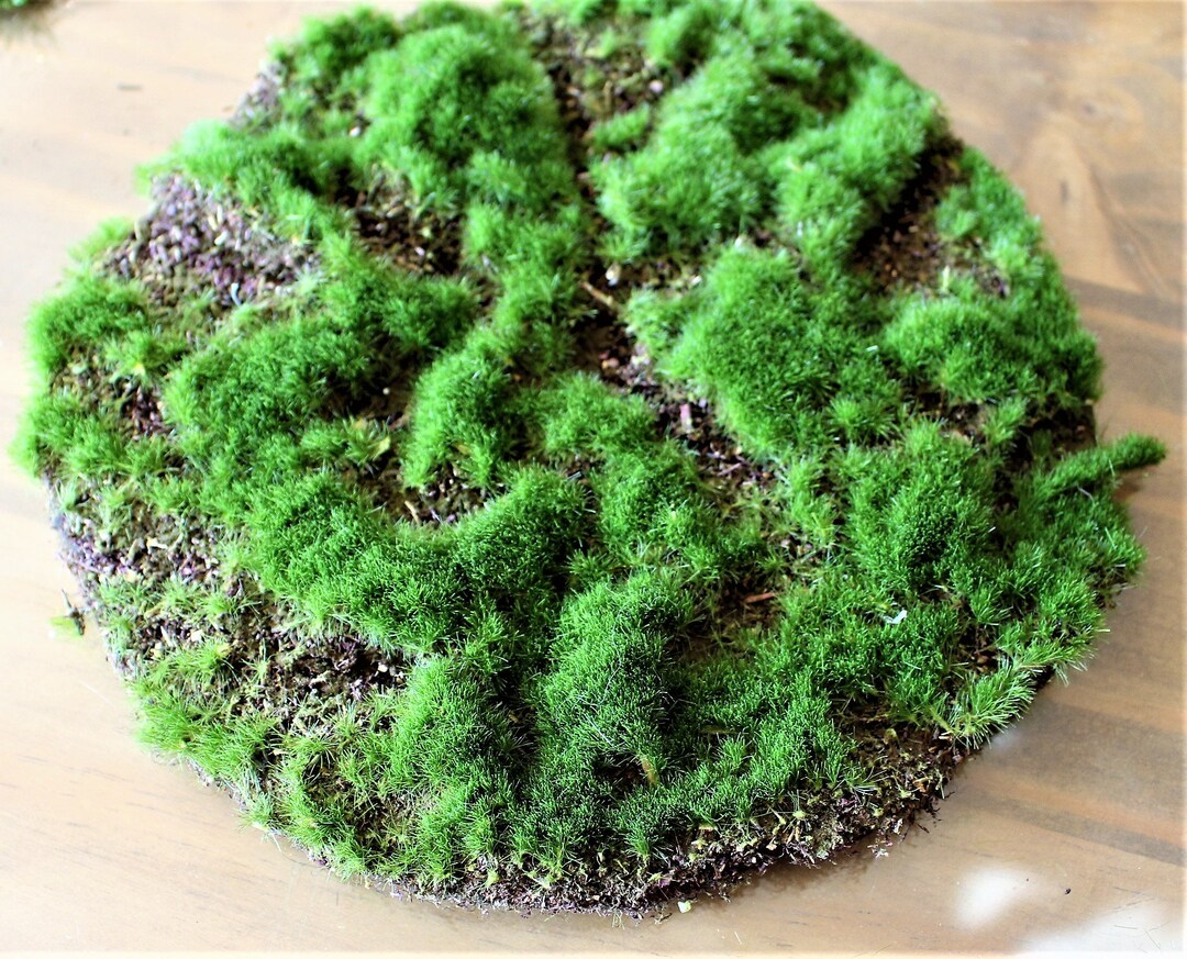 Artificial Moss Padfairy Garden Moss Fieldartificial Soil Etsy