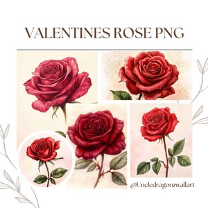 16 Rosa vermelha PNG,JPG Clipart de rosa vermelha em aquarela, Clipart de rosa dos namorados, Borda de flores, downloads digitais para artesanato em papel, diário de lixo