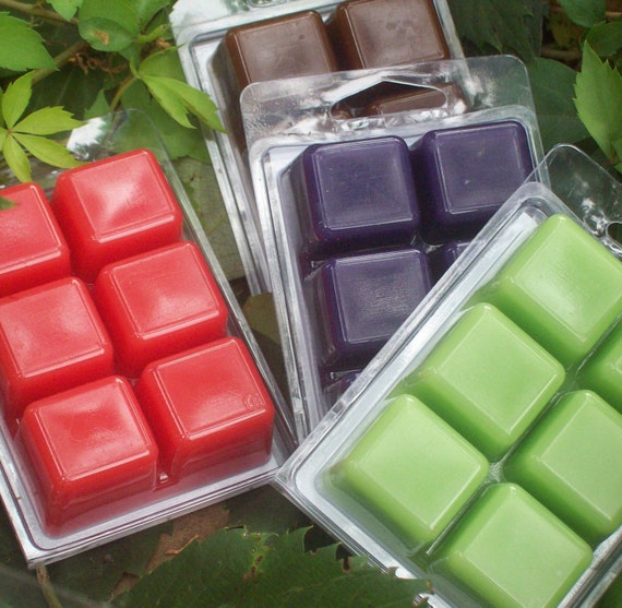 Wax Melts 6pc deal Strong scented wax melts your choice of Etsy