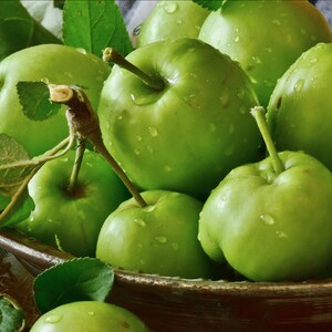 Green Apple Perfume, Choice of 1/3oz roll on or 4oz spray, Crisp fruity fragrance, concentrated natural body fragrance image 2