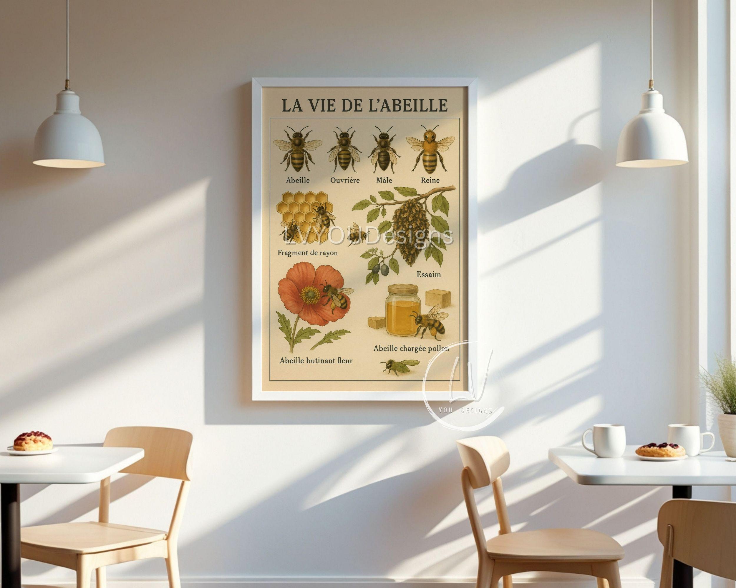 Vintage Bee Anatomy Print: French Beekeeping Poster (digital Download ...