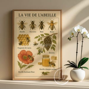 Vintage Bee Anatomy Print: French Beekeeping Poster (Digital Download)
