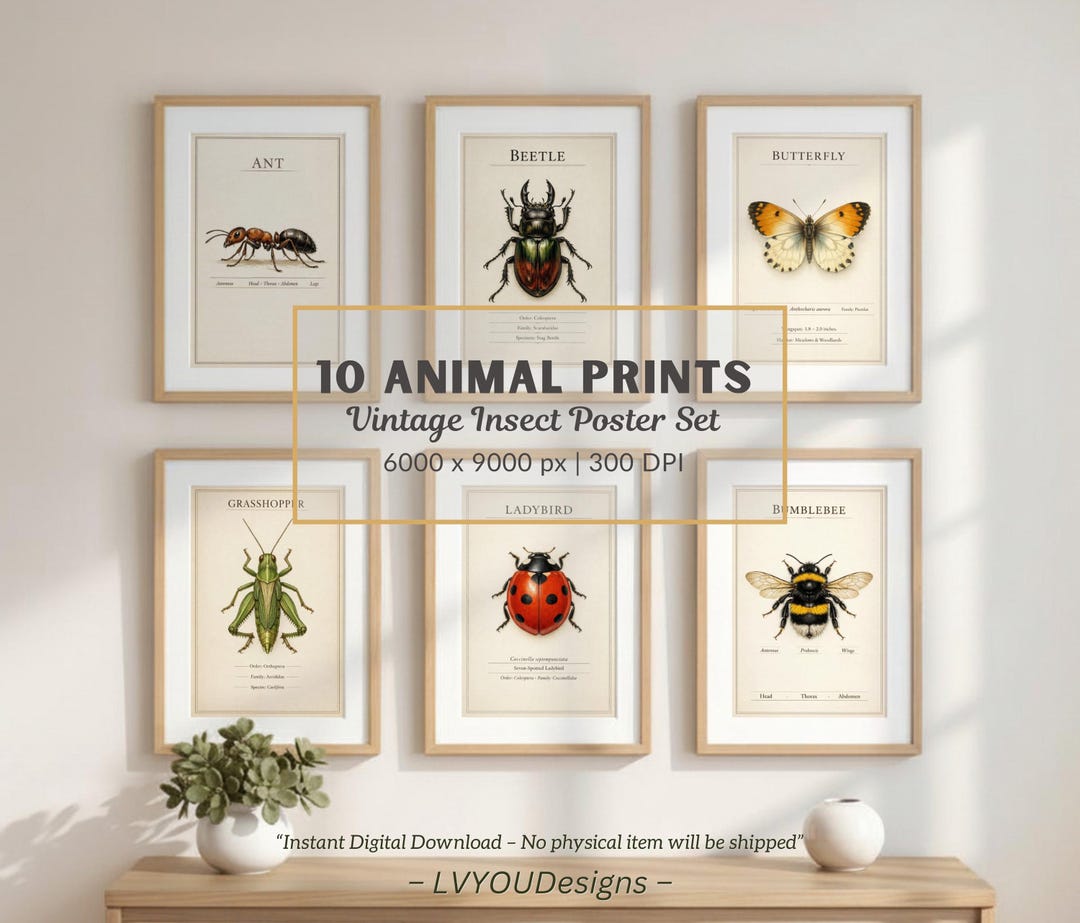 Vintage Insect Poster Set of 10, Natural History Prints, Educational ...