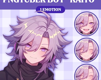 Cute PNGTuber Model | Cute Boy PNGTuber Premade Model | VeadoTube Model | PNG Tuber | Vtuber | GIFTuber | Discord | Twitch | OC Adopt M30