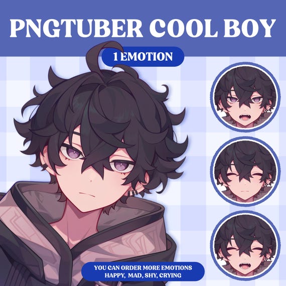 Cute PNGTuber Model | Cute Boy PNGTuber Premade Model | VeadoTube Model | PNG Tuber | Vtuber | GIFTuber | Discord | Twitch | OC Adopt M21