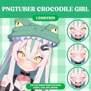 Cute PNGTuber Model | Cute Girl PNGTuber Premade Model | VeadoTube Model | PNG Tuber | Vtuber | GIFTuber | Discord | Twitch | OC Adopt F07