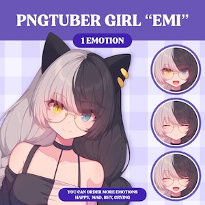 Cute PNGTuber Model | Cute Girl PNGTuber Premade Model | VeadoTube Model | PNG Tuber | Vtuber | GIFTuber | Discord | Twitch | OC Adopt F04