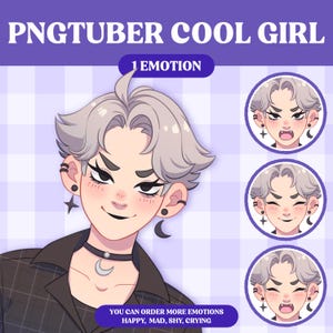 Cute PNGTuber Model | Cute Girl PNGTuber Premade Model | VeadoTube Model | PNG Tuber | Vtuber | GIFTuber | Discord | Twitch | OC Adopt F13