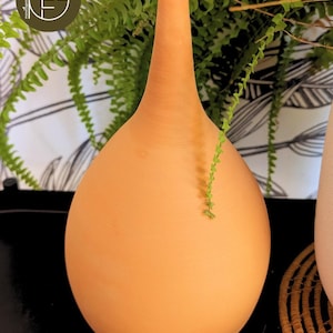 Peut inclure: Un vase en terre cuite de couleur orange-brun, avec une base arrondie et un long col effilé. Le vase est placé devant un fond de verdure et un arrière-plan à motifs. Une petite vigne verte pend sur le côté du vase.