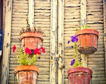 Provence French Country France Photograph. Flower Pots Hanging on French Shutters - Le Thoronet