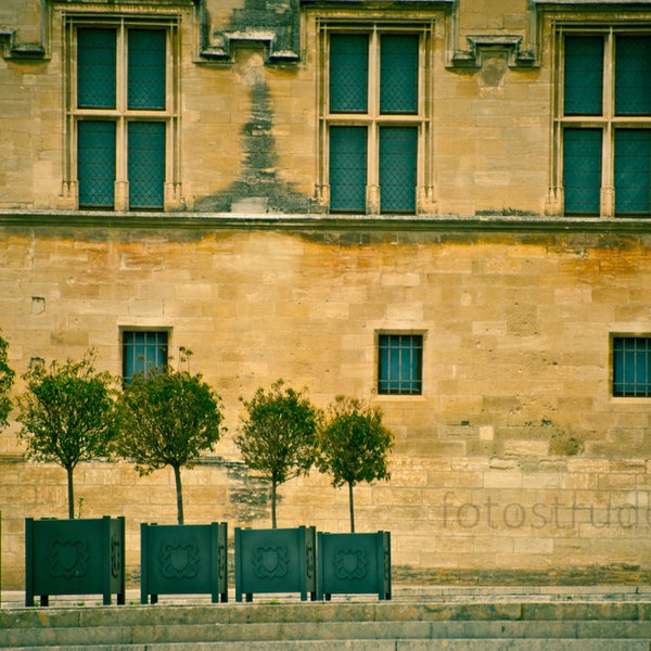Provence France Photograph. Avignon Windows and Planters, Architecture, Shabby Chic. - 8x12