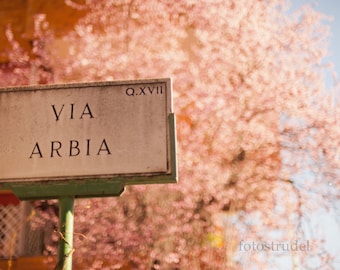 Via Arbia, Rome, Italy Photograph. Marble Street Signs - Cherry Blossoms - Zona Trieste/Salaria 8x12 photo