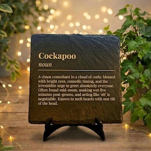 May include: A dark slate sign, square in shape, with the word "Cockapoo" in gold. The sign, supported by a black stand, has a definition of "Cockapoo" in white text. The background features fairy lights and green plants.