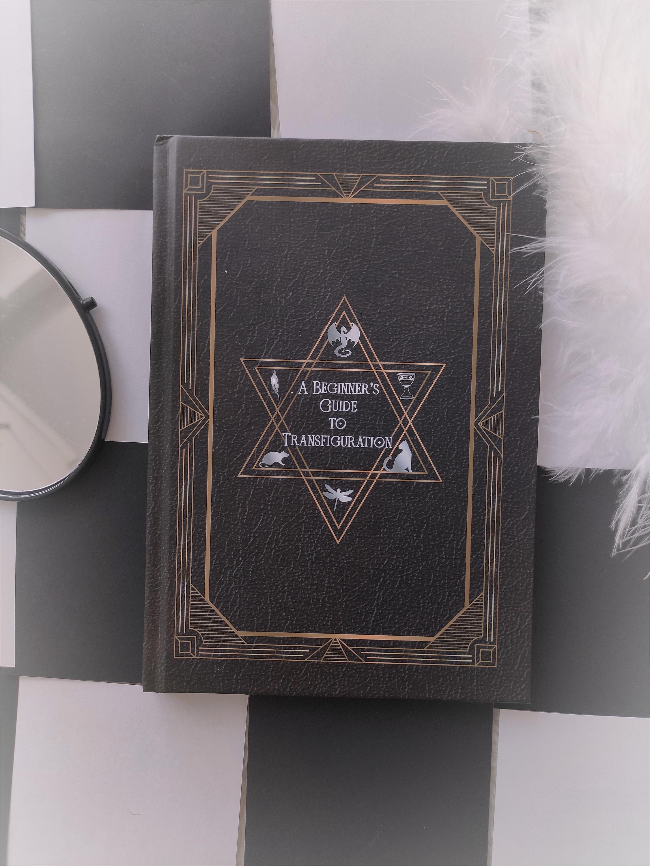 A Beginner's Guide to Transfiguration. Harry Style. Gift for