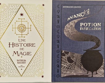 FR Set of 2 Fan Replicas: Histoire de la Magie & Potion – Vintage Wizard Textbooks, Cosplay Props, Fantasy Collectors Gift, French Ed