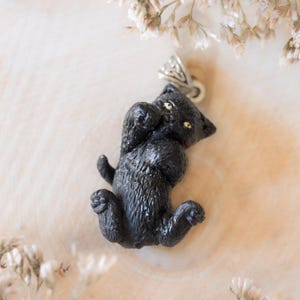 May include: A black cat pendant lying on its back, with its paws in the air. The cat has yellow eyes and a silver bail. The pendant is set against a light-colored, textured background, with dried flowers around it.
