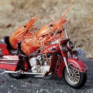 Biker Shrimp Greeting Card