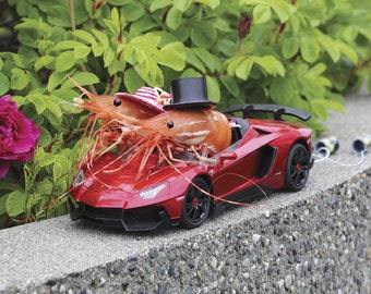 Wedding Bells Shrimp Greeting Card! by Shrimp Whisperer AK