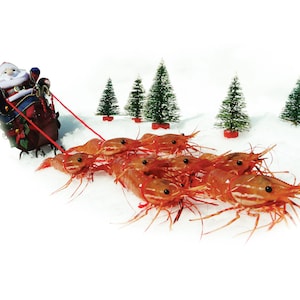 Merry Shrimpmas Card by Shrimp Whisperer AK