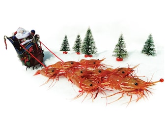 Merry Shrimpmas Card by Shrimp Whisperer AK