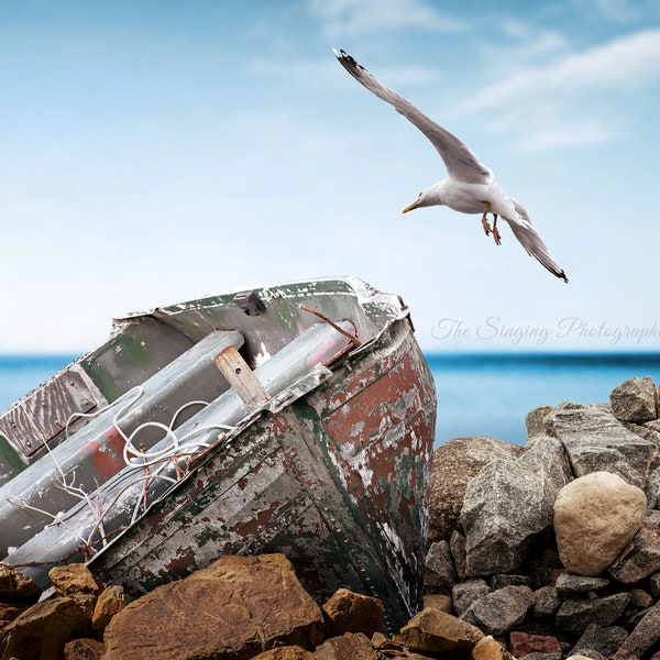 Vieux bateau abandonné