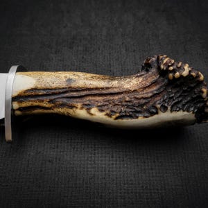May include: A hunting knife with a brown antler handle and a silver blade. The blade has a small inscription on it.