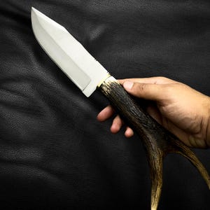May include: A hunting knife with a stainless steel blade and a brown antler handle.
