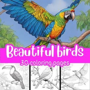 Beautiful Birds Coloring Book : 30 Gorgeous Bird Designs, Instant Download PDF, Printable Pages for Adults