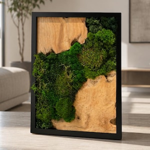 Preserved Moss Wall Art with Natural Wood | Live Edge Decor | Vertical Biophilic Wall Accent | Eco-Friendly Home Decor | Handmade Wall Frame
