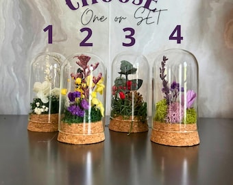 Mini Glass Cloche Terrarium with Real Moss and Dried Flowers Potion Jar Diorama for Unique Eco Friendly Home Decor Gift