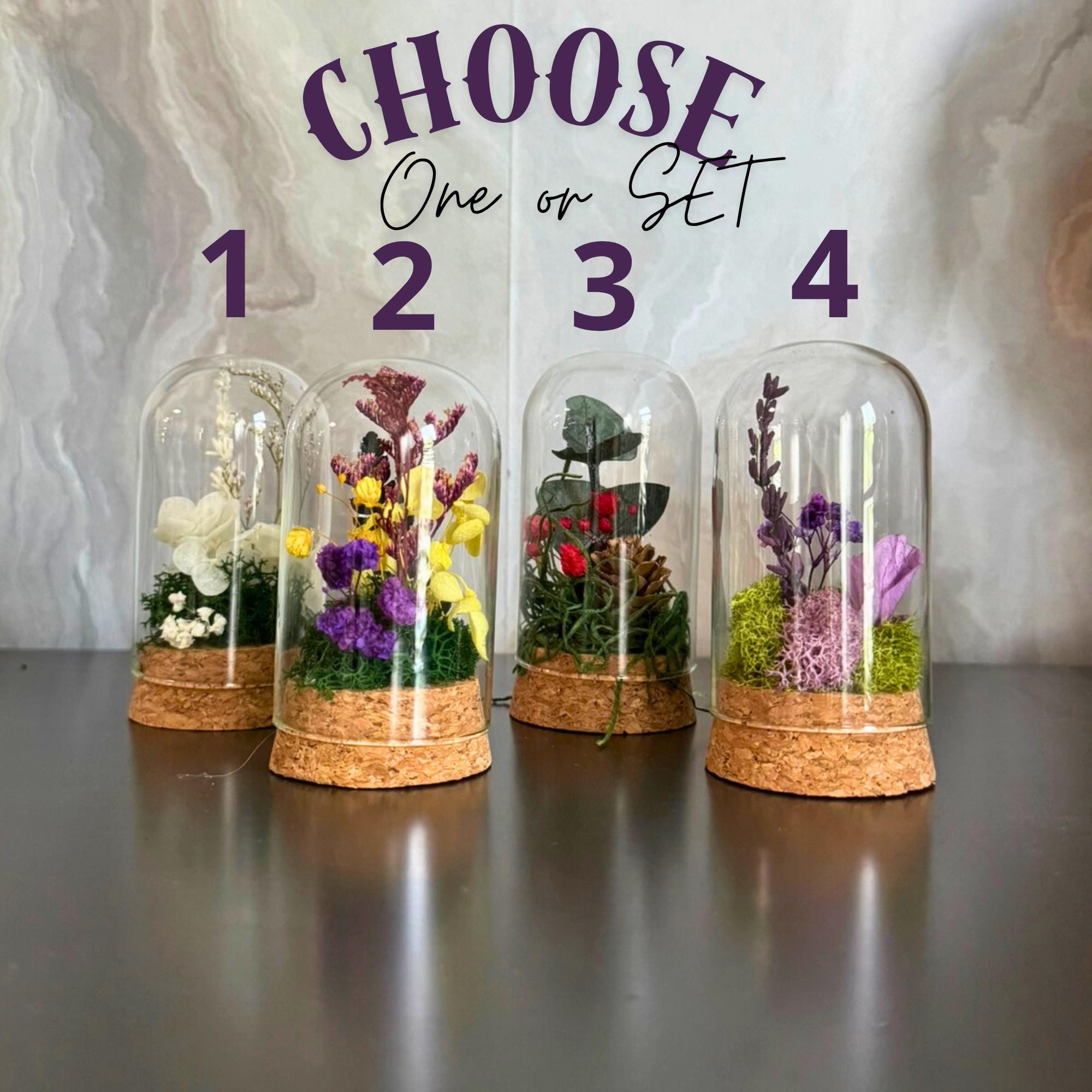 2Pcs Miniature Glass Display Bell Jar With Base - Dollhouse Doll Decor Accessory