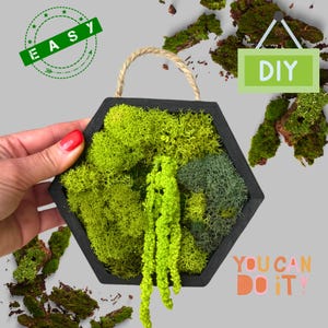 DIY Moss Art Kit – Unique Gift Box | Craft Kit for Her or Him | Nature-Inspired Activity | Birthday Gift | Mindful Home Decor Project