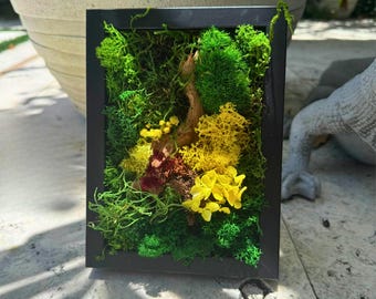 Handmade Moss Wall Art – Preserved Moss Frame in Multiple Sizes and Frame Colors – Eco-Friendly Botanical Decor, Inspired Wall Accent