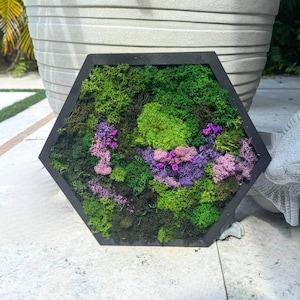 Preserved Honeycomb Moss Wall Art - Eco-Friendly Hexagon Decor. Honeycomb Moss Single or Set. Living Room Decor