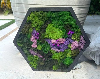 Preserved Honeycomb Moss Wall Art - Eco-Friendly Hexagon Decor. Honeycomb Moss Single or Set. Living Room Decor