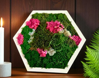Pink and Green Moss Art Hexagon Frame Eco Nature Inspired Wall Art for Home Decor
