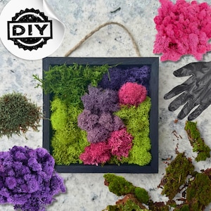 DIY Moss Wall Art Kit – Make Your Own Preserved Moss Frame | Easy Craft Kit with Colorful Moss, Tools & Instructions | Botanical Home Decor