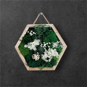 Hexagon Moss Frame: Preserved Greenery & White Flowers - Eco-Friendly Wall Decor