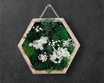 Hexagon Moss Frame: Preserved Greenery & White Flowers - Eco-Friendly Wall Decor