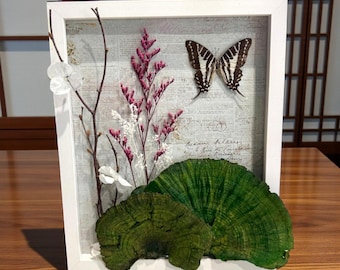 Japanese Wabi-Sabi Butterfly Shadow Box – Zen Botanical Wall Art with Natural Moss & Dried Flowers