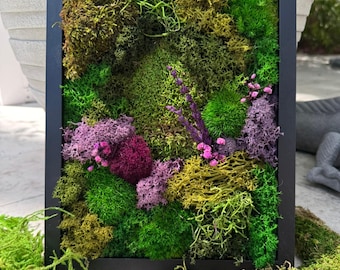Framed Moss Wall Art – Botanical Green & Purple Preserved Moss Decor | Vertical Garden | Cottagecore Wall Hanging | Eco Natural Gift