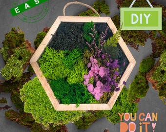 DIY Moss Art Kit – Easy Nature Craft | Hexagon Frame | Gift for Her or Him | Relaxing Greenery Art Project | Mindful Gift Idea