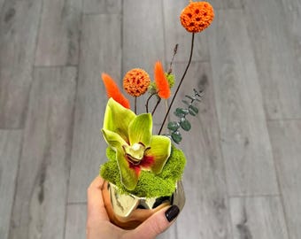 Mini Moss & Orchid Decor in Gold Vase — Small Botanical Arrangement