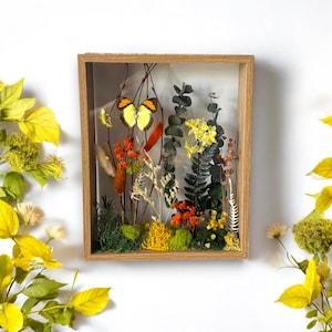 Real Butterfly and Dried FALL Flowers in Glass Frame | Botanical Shadow Box with Preserved Moss | Nature-Inspired Home Wall Art Gift