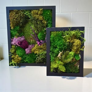 Moss Wall Art | Preserved Moss Art Framed | Moss Wall Decor | Moss Wall Sets | Natural Wall Hanging| Green Reindeer Moss Pole Moss