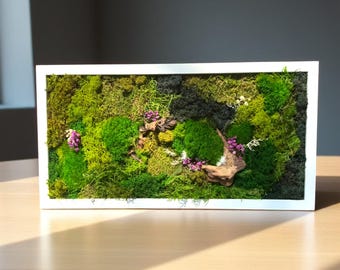 Moss Wall Art, Preserved Moss Art, Botanical Wall Art, Wood Frame Sets, Cottagecore Wall Display, Natural Forest and Jungle Style Moss Art