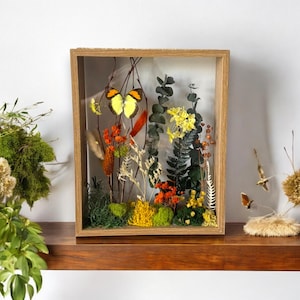 Real Butterfly Shadow Box with Dried Flowers & Moss | Double-Sided Glass Wooden Frame | Nature-Inspired Botanical Wall Art