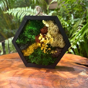 Mini Hexagon Moss Art – Yellow Preserved Moss Wall Decor | Small Botanical Hanging | Eco Gift for Her | Nature-Inspired Shelf Accent