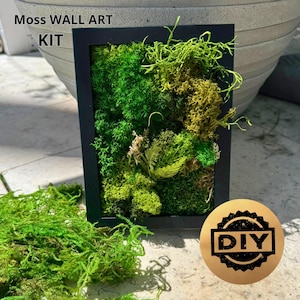 DIY Moss Wall Art Kit – Nature Craft Kit for Adults | Create Your Own Green Decor | Relaxing Handmade Project | Gift for Her or Him