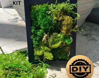 DIY Moss Wall Art Kit – Nature Craft Kit for Adults | Create Your Own Green Decor | Relaxing Handmade Project | Gift for Her or Him
